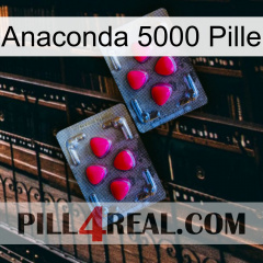 Anaconda 5000 Pill 14